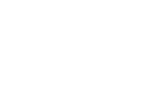 Voltiva